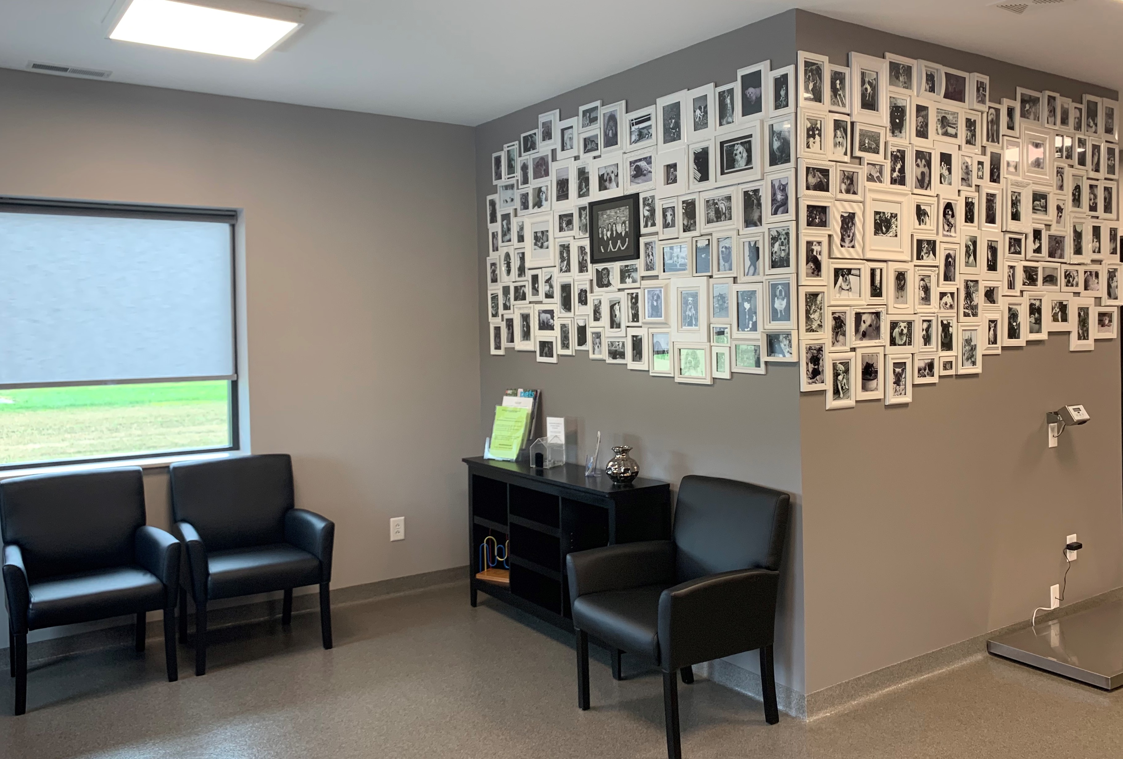 Shelton Veterinary Care / Tour Our Clinic